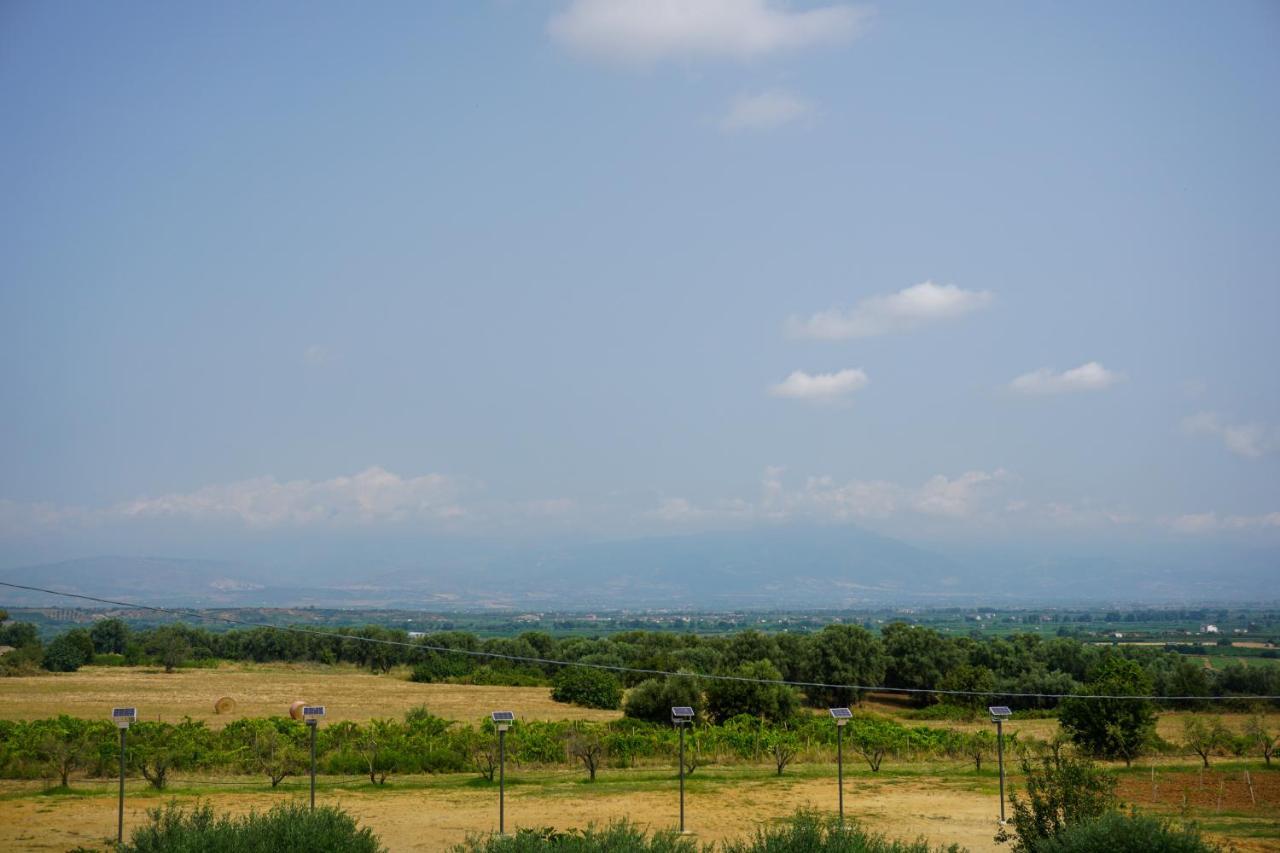Agriturismo Casacchella มารีนา ดี ซีบารี ภายนอก รูปภาพ