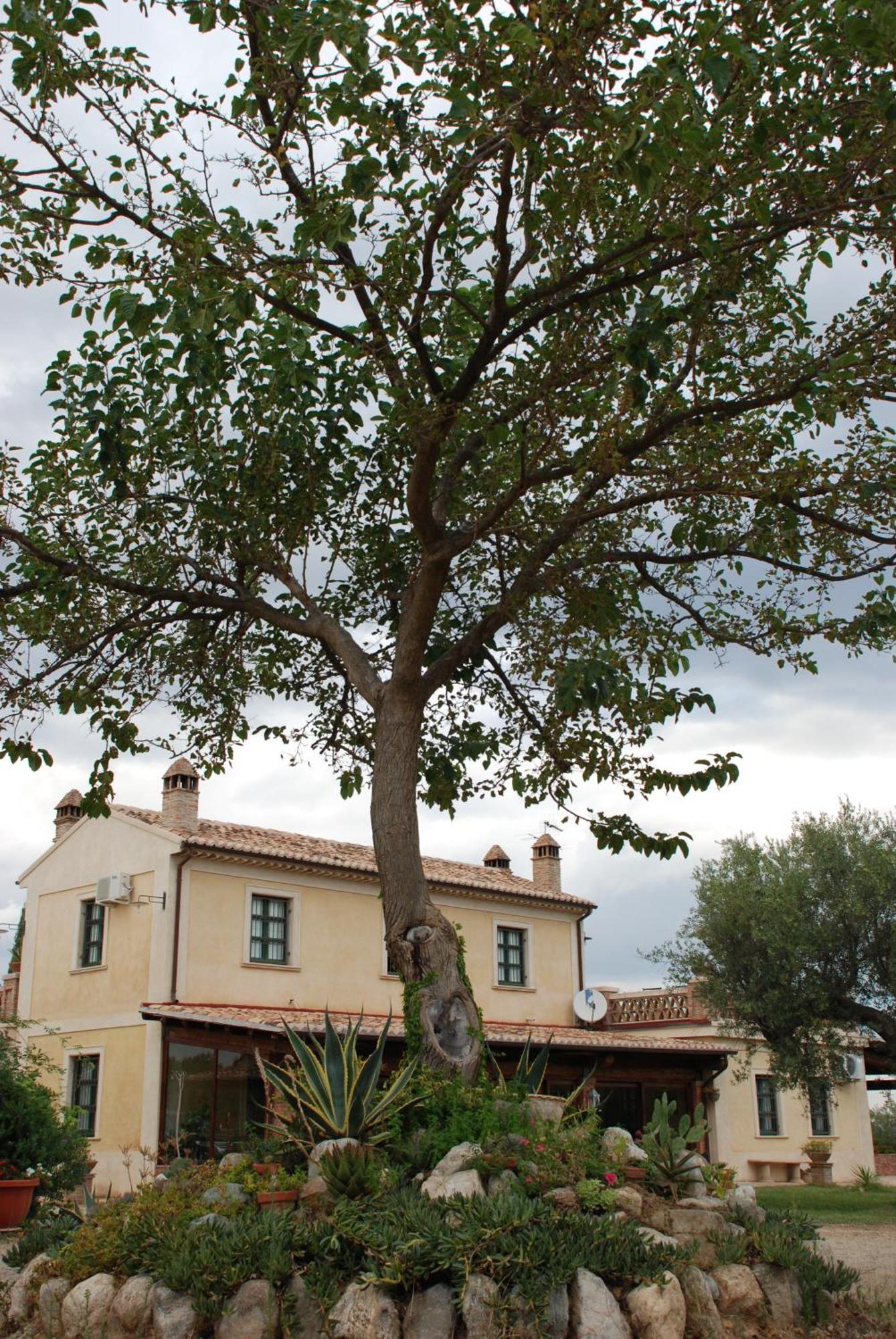 Agriturismo Casacchella มารีนา ดี ซีบารี ห้อง รูปภาพ