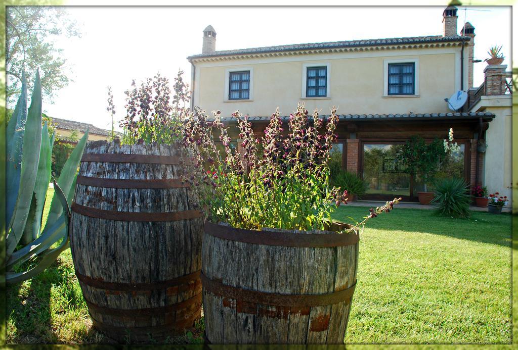 Agriturismo Casacchella มารีนา ดี ซีบารี ภายนอก รูปภาพ